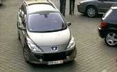 Dezmembrez Peugeot 307