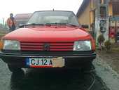 Bricheta bord Peugeot 205 - 05 Martie 2012