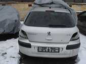 Haion Peugeot 307 - 08 Aprilie 2011